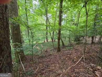 Build-Ready Estate Lot in Buckhorn - Nearly 1 Acre with Driveway on White Path Golf Club in Georgia - for sale on GolfHomes.com, golf home, golf lot