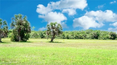 THIS LISTING INCLUDES LOTS 16820 & 16830 This two lot property on Burnt Store Golf Club in Florida - for sale on GolfHomes.com, golf home, golf lot