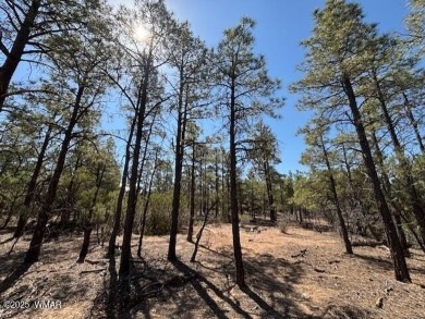 Amazing opportunity to build your dream home that you have on Torreon Golf Club in Arizona - for sale on GolfHomes.com, golf home, golf lot