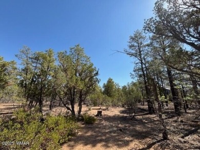 Amazing opportunity to build your dream home that you have on Torreon Golf Club in Arizona - for sale on GolfHomes.com, golf home, golf lot