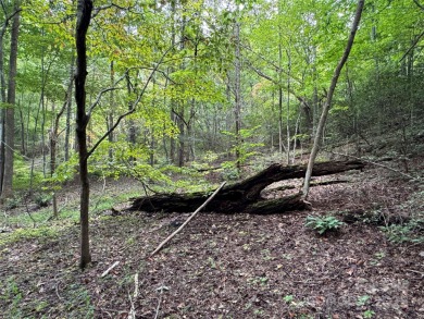 This rare and easily buildable mountain lot sits on the scenic on Rumbling Bald Resort on Lake Lure in North Carolina - for sale on GolfHomes.com, golf home, golf lot