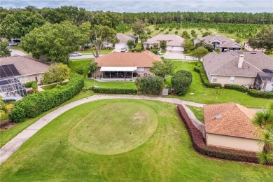 PRICE IMPROVEMENT:  Experience elegance and comfort in this on Country Club of Mount Dora in Florida - for sale on GolfHomes.com, golf home, golf lot