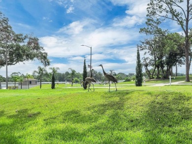 Buildable Lot in Premier Gated 55+ Golf Community. Customize on Deer Creek RV Golf Resort in Florida - for sale on GolfHomes.com, golf home, golf lot