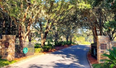 Situated near the Island Club's Retreat Golf Course and just a on Sea Island Golf Club in Georgia - for sale on GolfHomes.com, golf home, golf lot