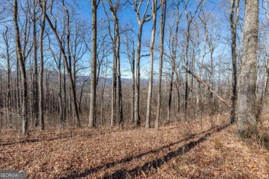 Views, views, views! When you decide to build a home in the on Old Union Golf Course in Georgia - for sale on GolfHomes.com, golf home, golf lot