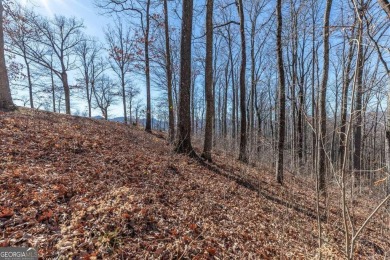 Views, views, views! When you decide to build a home in the on Old Union Golf Course in Georgia - for sale on GolfHomes.com, golf home, golf lot