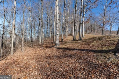 Views, views, views! When you decide to build a home in the on Old Union Golf Course in Georgia - for sale on GolfHomes.com, golf home, golf lot