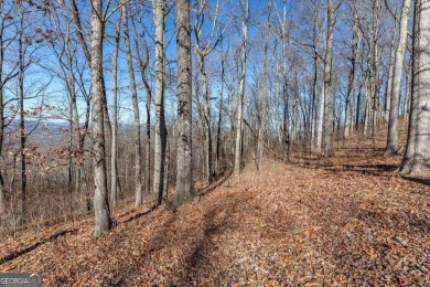 Views, views, views! When you decide to build a home in the on Old Union Golf Course in Georgia - for sale on GolfHomes.com, golf home, golf lot