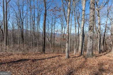 Views, views, views! When you decide to build a home in the on Old Union Golf Course in Georgia - for sale on GolfHomes.com, golf home, golf lot