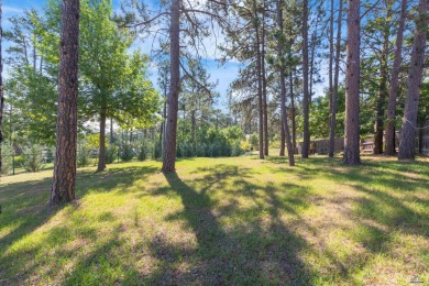 Listed by, Nicole Petrik, Engel & Volkers Black Hills, LLC on  in South Dakota - for sale on GolfHomes.com, golf home, golf lot
