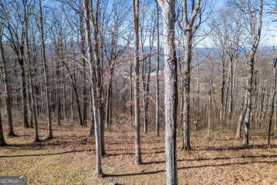 Views, views, views! When you decide to build a home in the on Old Union Golf Course in Georgia - for sale on GolfHomes.com, golf home, golf lot