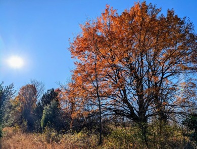 Prime 10 acres of vacant land with endless possibilities. Hunt on Chestnut Hills Golf Course in Michigan - for sale on GolfHomes.com, golf home, golf lot