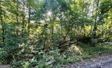 Beautiful lot in Turtle Cove and just minutes from Jackson Lake on Turtle Cove Golf Course in Georgia - for sale on GolfHomes.com, golf home, golf lot