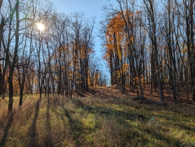 Prime 10 acres of vacant land with endless possibilities. Hunt on Chestnut Hills Golf Course in Michigan - for sale on GolfHomes.com, golf home, golf lot