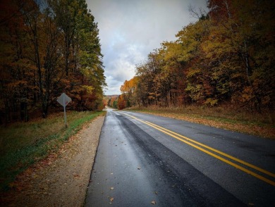 Prime 10 acres of vacant land with endless possibilities. Hunt on Chestnut Hills Golf Course in Michigan - for sale on GolfHomes.com, golf home, golf lot