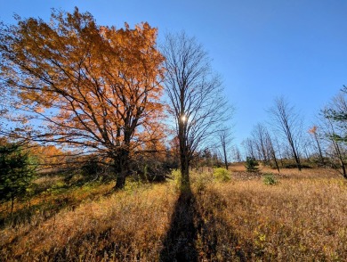 Prime 10 acres of vacant land with endless possibilities. Hunt on Chestnut Hills Golf Course in Michigan - for sale on GolfHomes.com, golf home, golf lot