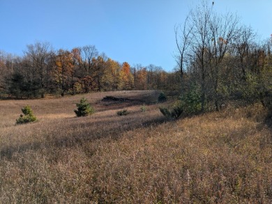 Prime 10 acres of vacant land with endless possibilities. Hunt on Chestnut Hills Golf Course in Michigan - for sale on GolfHomes.com, golf home, golf lot