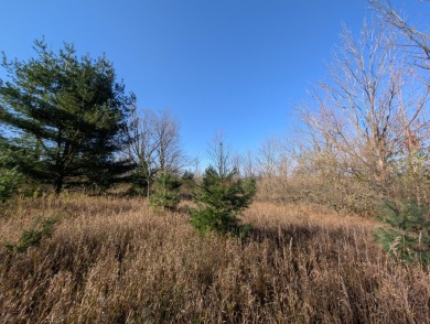 Prime 10 acres of vacant land with endless possibilities. Hunt on Chestnut Hills Golf Course in Michigan - for sale on GolfHomes.com, golf home, golf lot