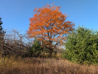 Prime 10 acres of vacant land with endless possibilities. Hunt on Chestnut Hills Golf Course in Michigan - for sale on GolfHomes.com, golf home, golf lot