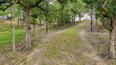 Rare opportunity to own a 1.005 acre homesite in the highly on Squaw Creek Golf Club in Texas - for sale on GolfHomes.com, golf home, golf lot