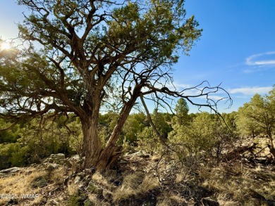 Gorgeous, rare creekside lot that is level and flat and then on Silver Creek Golf Club in Arizona - for sale on GolfHomes.com, golf home, golf lot