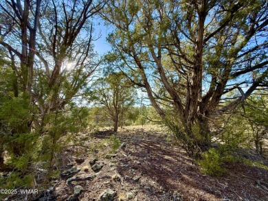 Gorgeous, rare creekside lot that is level and flat and then on Silver Creek Golf Club in Arizona - for sale on GolfHomes.com, golf home, golf lot