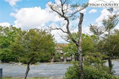 Discover a beautifully renovated and fully furnished 3-bedroom on Beech Mountain Club in North Carolina - for sale on GolfHomes.com, golf home, golf lot
