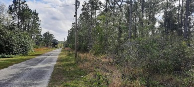 Come build your forever home on this one-half acre CANAL lot on Indian Lake Estates Golf and Country Club in Florida - for sale on GolfHomes.com, golf home, golf lot