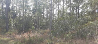 Come build your forever home on this one-half acre CANAL lot on Indian Lake Estates Golf and Country Club in Florida - for sale on GolfHomes.com, golf home, golf lot