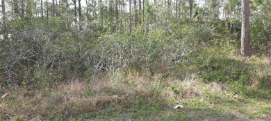 Come build your forever home on this one-half acre CANAL lot on Indian Lake Estates Golf and Country Club in Florida - for sale on GolfHomes.com, golf home, golf lot