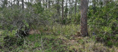 Come build your forever home on this one-half acre CANAL lot on Indian Lake Estates Golf and Country Club in Florida - for sale on GolfHomes.com, golf home, golf lot