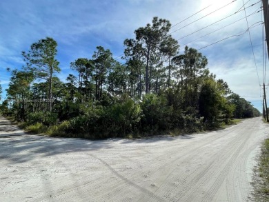 Come build your Dream Home on this corner lot with almost 1 acre on Island Pines Golf Club in Florida - for sale on GolfHomes.com, golf home, golf lot