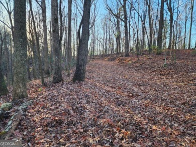 Gorgeous Cul-de-Sac Private Lot with Mountain Views in Buckhorn on White Path Golf Club in Georgia - for sale on GolfHomes.com, golf home, golf lot