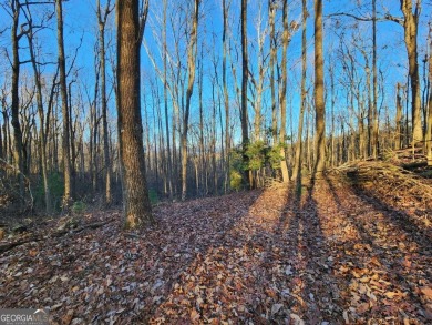 Gorgeous Cul-de-Sac Private Lot with Mountain Views in Buckhorn on White Path Golf Club in Georgia - for sale on GolfHomes.com, golf home, golf lot