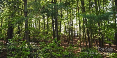 This lot presents a rare opportunity to build in a prime on Etowah Valley Golf Club in North Carolina - for sale on GolfHomes.com, golf home, golf lot