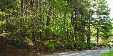 This lot presents a rare opportunity to build in a prime on Etowah Valley Golf Club in North Carolina - for sale on GolfHomes.com, golf home, golf lot
