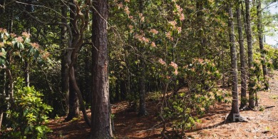 This lot presents a rare opportunity to build in a prime on Etowah Valley Golf Club in North Carolina - for sale on GolfHomes.com, golf home, golf lot