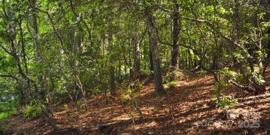 This lot presents a rare opportunity to build in a prime on Etowah Valley Golf Club in North Carolina - for sale on GolfHomes.com, golf home, golf lot