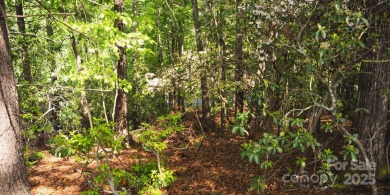 This lot presents a rare opportunity to build in a prime on Etowah Valley Golf Club in North Carolina - for sale on GolfHomes.com, golf home, golf lot