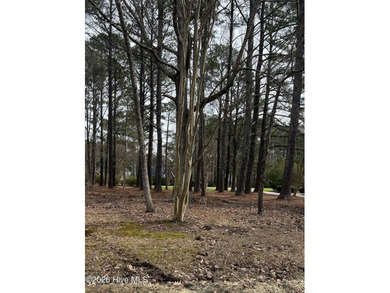 Corner wooded lot with mature trees offering privacy in a gated on Sound Golf Links at Albemarle Plantation in North Carolina - for sale on GolfHomes.com, golf home, golf lot