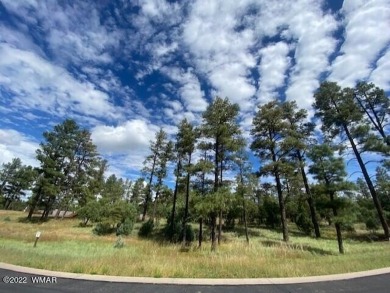 New Release in Torreon!!!! TORREON LAKES, come take a look at on Torreon Golf Club in Arizona - for sale on GolfHomes.com, golf home, golf lot