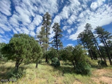 New Release in Torreon!!!! TORREON LAKES, come take a look at on Torreon Golf Club in Arizona - for sale on GolfHomes.com, golf home, golf lot