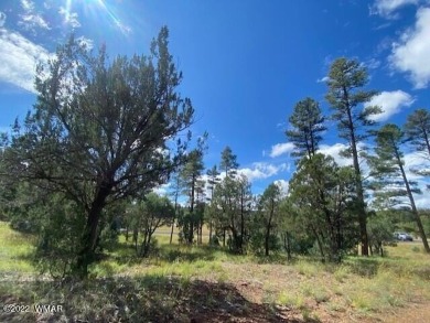 New Release in Torreon!!!! TORREON LAKES, come take a look at on Torreon Golf Club in Arizona - for sale on GolfHomes.com, golf home, golf lot