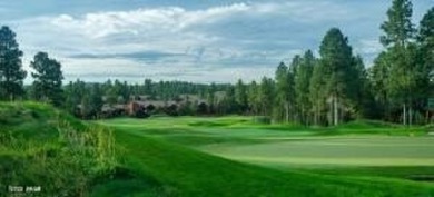 New Release in Torreon!!!! TORREON LAKES, come take a look at on Torreon Golf Club in Arizona - for sale on GolfHomes.com, golf home, golf lot