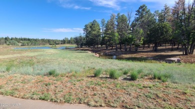 New Release in Torreon!!!! TORREON LAKES, come take a look at on Torreon Golf Club in Arizona - for sale on GolfHomes.com, golf home, golf lot