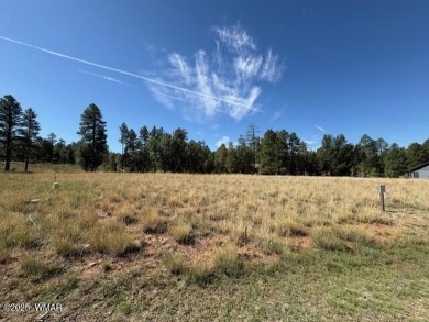 New Release in Torreon!!!! TORREON LAKES, come take a look at on Torreon Golf Club in Arizona - for sale on GolfHomes.com, golf home, golf lot
