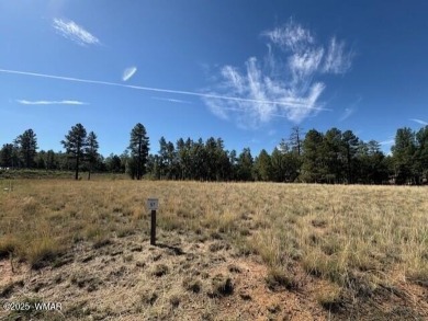 New Release in Torreon!!!! TORREON LAKES, come take a look at on Torreon Golf Club in Arizona - for sale on GolfHomes.com, golf home, golf lot