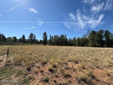 New Release in Torreon!!!! TORREON LAKES, come take a look at on Torreon Golf Club in Arizona - for sale on GolfHomes.com, golf home, golf lot