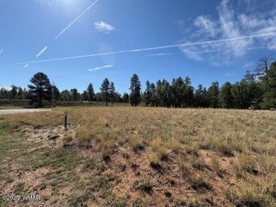 New Release in Torreon!!!! TORREON LAKES, come take a look at on Torreon Golf Club in Arizona - for sale on GolfHomes.com, golf home, golf lot