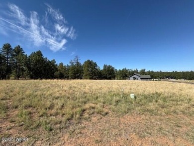New Release in Torreon!!!! TORREON LAKES, come take a look at on Torreon Golf Club in Arizona - for sale on GolfHomes.com, golf home, golf lot